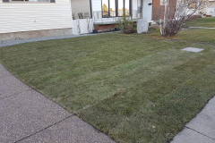 Custom Concrete