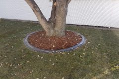 Decorative Concrete Curbing