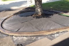 Decorative Concrete Curbing