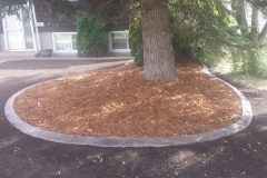 Decorative Concrete Curbing