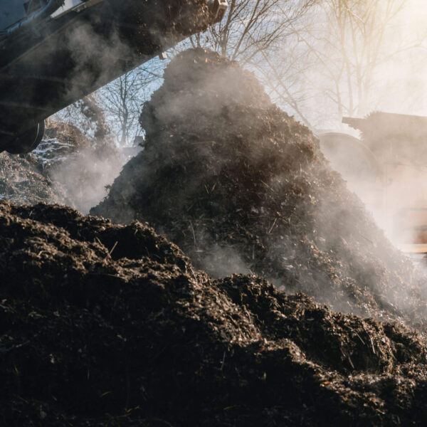 Mushroom Compost