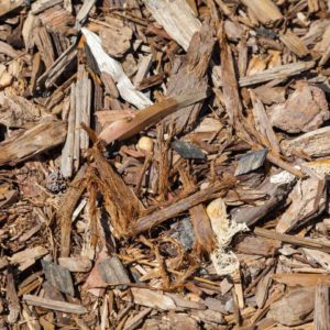 Shredded Cedar Mulch for Landscaping