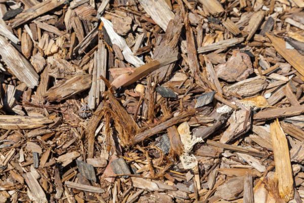 Shredded Cedar Mulch for Landscaping