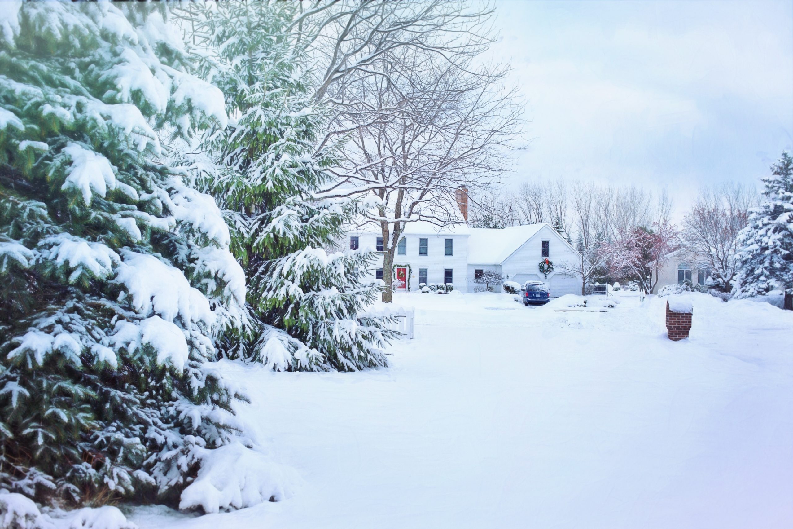 KEEPING YOUR TREES HEALTHY IN THE WINTER