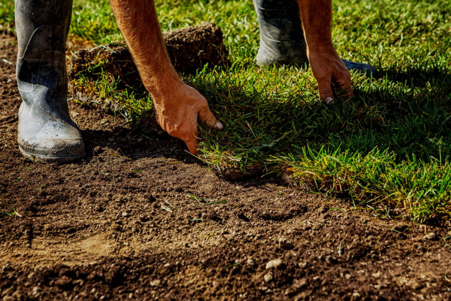 Signs of Great Sod